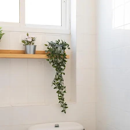 Perbes Terrace R Appartement *